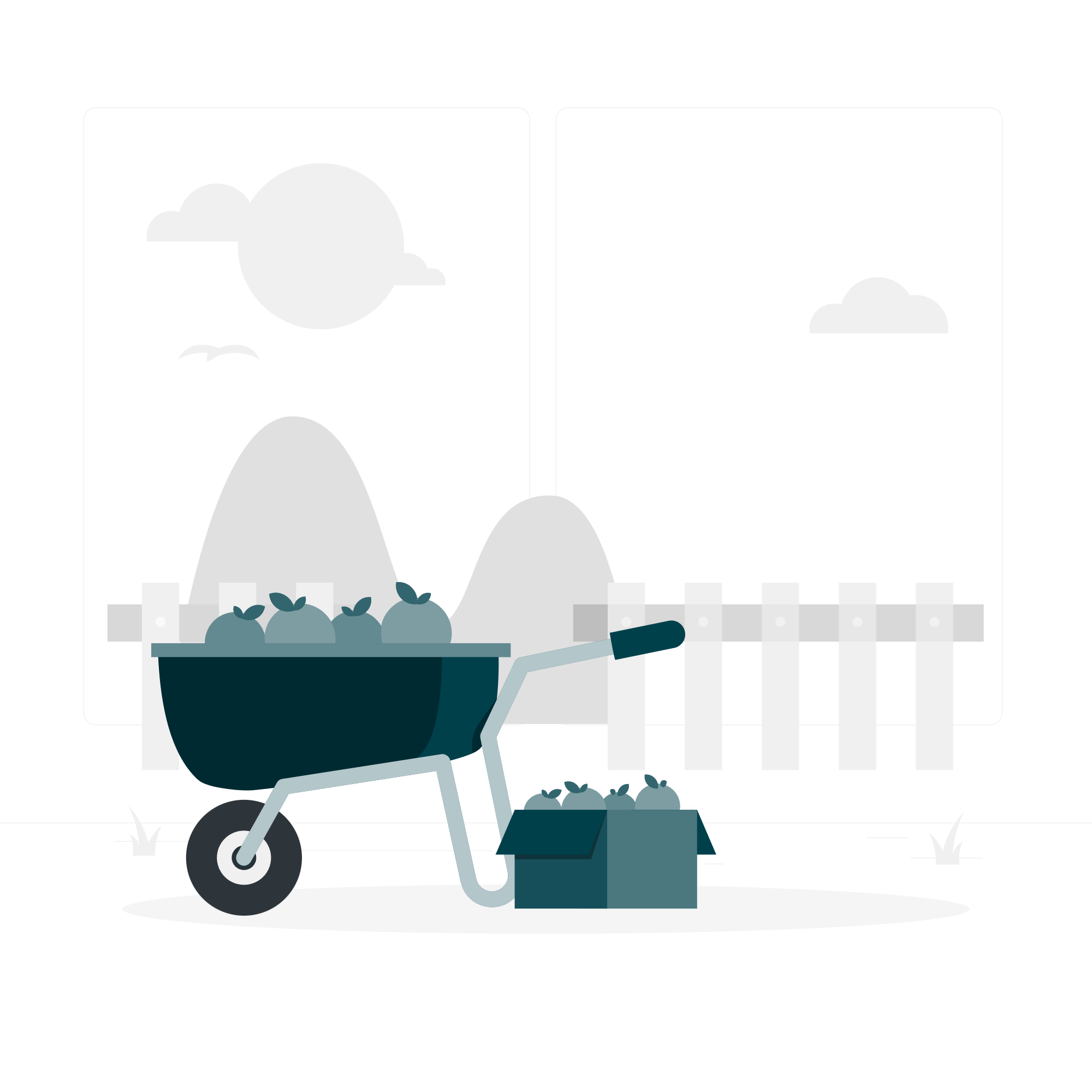 Training & Development